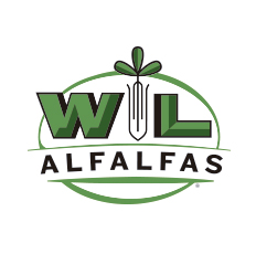 WL-web-232x230