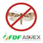 ASOEX-LOBESIA.jpg