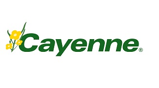 Cayenne.jpg