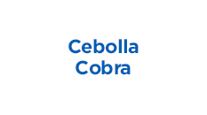 Cebolla-Cobra.jpg