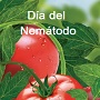 Dianematodo.jpg