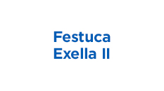 Festuca-Exella-II.jpg