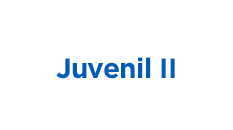 Juvenil-II.jpg