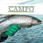 Lanzan-l-nea-de-vacunas-para-salmones.png