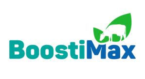 Logo-BoostiMax-web.png