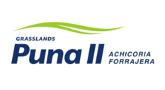 Logo-Puna-II.png