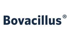 Logo-web-1.png