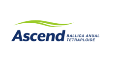 Logo-web-Ascend.png