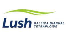 Logo-web-Lush-1.png