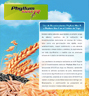 Phyllum-Max-R-publicacion-2.jpg