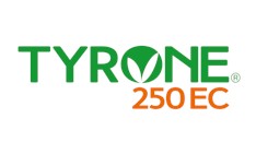 Tyrone.jpg