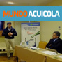Vacuna-piojo-de-mar-ANASAC-MUNDOACUICOLA.jpg