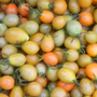 banner_90x90-tomate-cherry.jpg