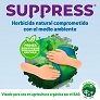 bannner-noticia-web.jpg