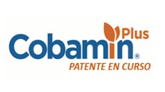 cobamin-004.jpg