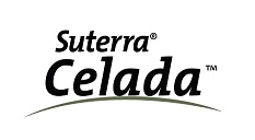 logo-web-Celada.jpg